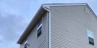 Best Custom Trim and Detailing for Siding  in Craig Beach, OH